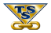 TSS
